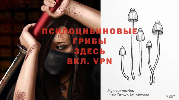 мяу мяу мука Вяземский